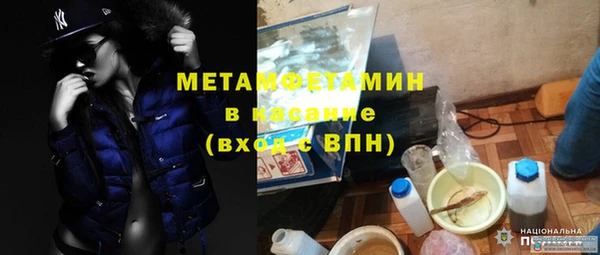 прущие грибы Беломорск