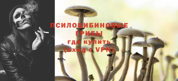 ПСИЛОЦИБИНОВЫЕ ГРИБЫ Пестово
