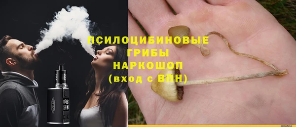 ПСИЛОЦИБИНОВЫЕ ГРИБЫ Пестово