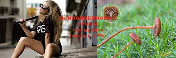 мдма Белокуриха